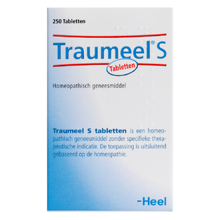 Heel Traumeel S 250TB 