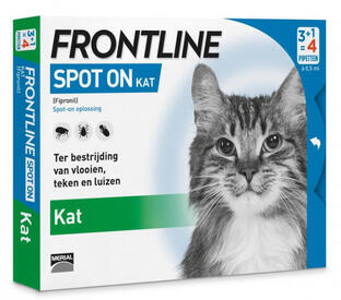 Frontline Spot-On Kat 3+1st 4ST | voordelig kopen | De Online Drogist