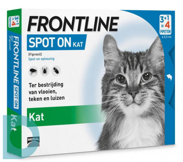 moederlijk roekeloos moordenaar Frontline Spot-On Kat 3+1st 4ST | voordelig online kopen | De Online Drogist