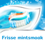 Aquafresh Freshmint 3in1 tandpasta - voor een frisse adem 75ML 53389