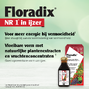 Salus Floradix Vloeibaar IJzer Elixer 250ML 44340