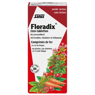 Salus Floradix IJzer Tabletten 84TB 