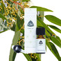 Chi Eucalyptus Citroen Etherische Olie Wild 20ML 33202