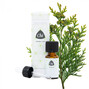 Chi Thuja Etherische Olie Wild 10ML 34071