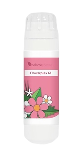 Balance Pharma Flowerplex 061 Vergevingsgezindheid 6GR 