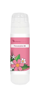 Balance Pharma Flowerplex 066 Troost 6GR 