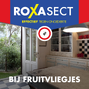 Roxasect Fruitvliegjes 1ST sfeerbeeld