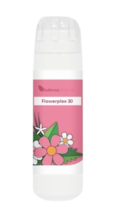 Balance Pharma Flowerplex 030 Patronen Veranderen 6GR 