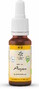 Lemon Pharma Bach NO.2 Aspen 20ML 