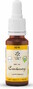 Lemon Pharma Bach NO.4 Centaury 20ML 