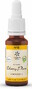 Lemon Pharma Bach NO.6 Cherry Plum 20ML 