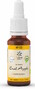 Lemon Pharma Bach NO.10 Crab Apple 20ML 