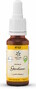 Lemon Pharma Bach NO.12 Gentian 20ML 