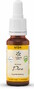 Lemon Pharma Bach NO.24 Pine 20ML 