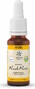 Lemon Pharma Bach NO.26 Rock Rose 20ML 