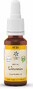 Lemon Pharma Bach NO. 31 Vervain 20ML 