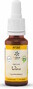 Lemon Pharma Bach NO.32 Vine 20ML 