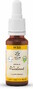 Lemon Pharma Bach NO.33 Walnut 20ML 