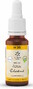 Lemon Pharma Bach NO.35 White Chestnut 20ML 