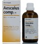 Heel Aesculus Compositum H 100ML 45412