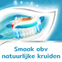 Aquafresh Cool Mint Tandpasta - voor gezonde tanden 75ML 53306