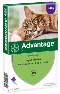 Advantage Kat 80 4ST 