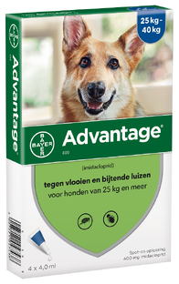 Advantage Hond 4ST 