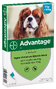 Advantage Hond 100 4ST 