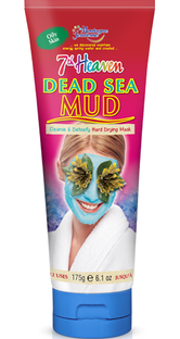 Montagne Jeunesse Dead Sea Mud Mask Tube 100GR 