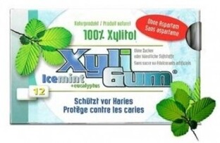 Xyligum Kauwgom Icemint 12ST 