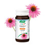 A.Vogel Echinaforce Junior met Vitamine C Kauwtabletten 80ST 37656