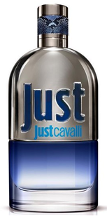 Roberto Cavalli Just for Him Eau de Toilette 90ML 