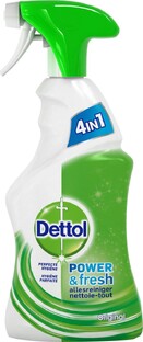 Dettol Power & Fresh Allesreiniger Original Spray 500ML 