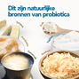 Bonusan Bacteri Spore Capsules 28ST natuurlijke bronnen