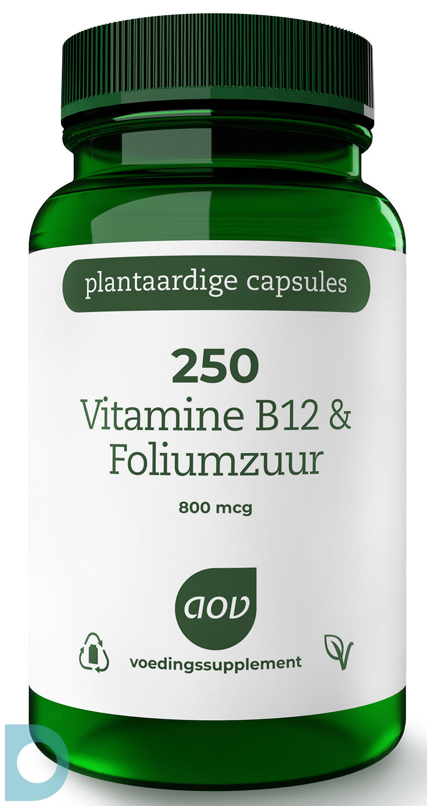 Veroveraar Boost tellen AOV 250 Vitamine B12 & Foliumzuur Vegacaps 60VCP