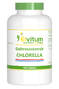 Elvitum Chlorella Tabletten 1000TB 