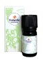 Volatile Gastro-Zen Essentiële Olie 10ML 