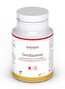 Nutrisan CurcEssense Capsules 60CP 